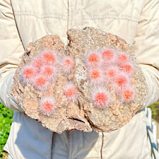 Esemplare minerale a grappolo