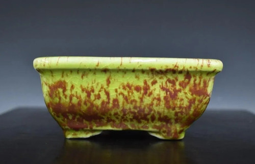 Vaso per bonsai giapponese