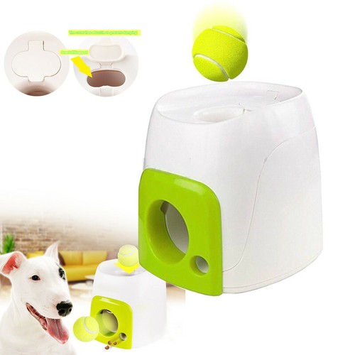 Pet dog treat tennis - pet,