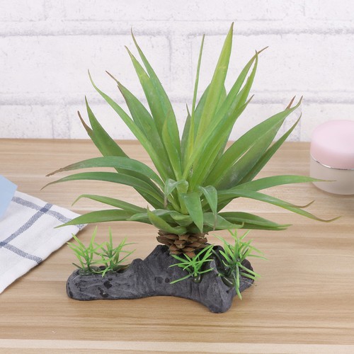 Accessori terrario rettili - terrario,