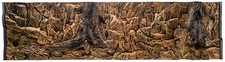 Decorazione acquario terrario
