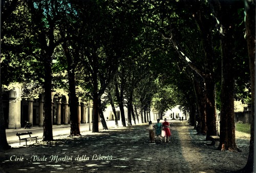 Ciriè torino viale martiri - viale,