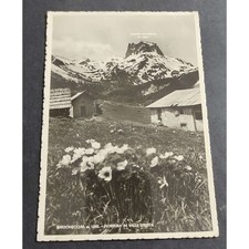 Cartolina Bardonecchia - Fioritura in Valle Stretta