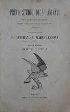 Primo Studio Degli Animali -