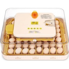 Incubatrice incubatrice