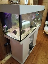 Acquario ferplast dubai 190 - dubai,