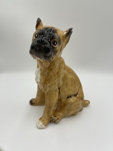 Boxer cane cucciolo - , brownwells
