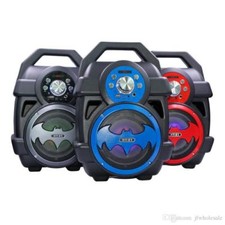 Impianto Audio Portatile Cassa