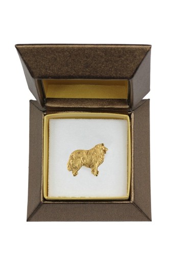 Collie pelo lungo pastore - a,