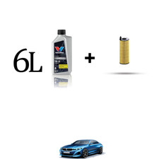 Kit filtro olio per bmw - filtro, 6l