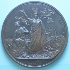 UMBERTO I MEDAGLIA 1881 ESPOSIZIONE NAZIONALE AGRICOLTURA INDUSTRIA ARTE BRONZO