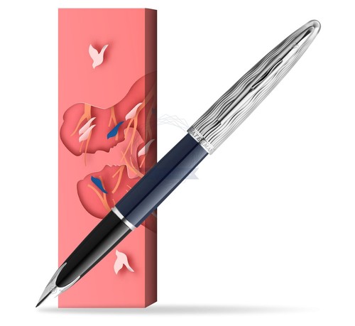 Penna stilografica waterman - penna,