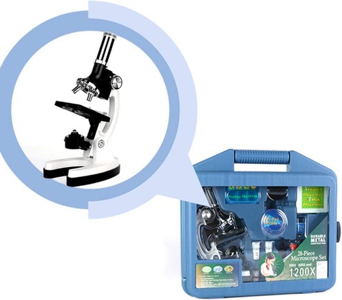 Ulab kids beginner - beginner, science