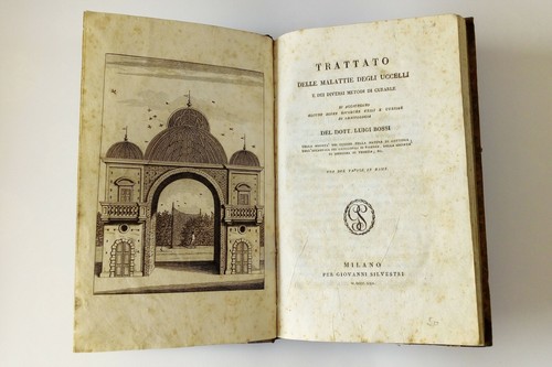 Bossi luigi trattato delle - -,
