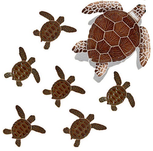 Gruppo tartaruga ceramica