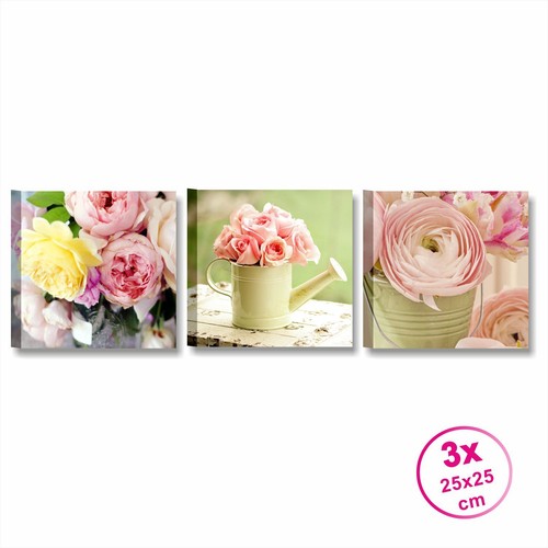 Tris rose shabby chic - ,