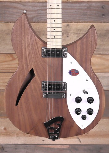 Chitarra elettrica
