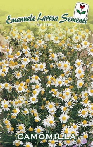 200 semi seeds camomilla - semi/seeds,