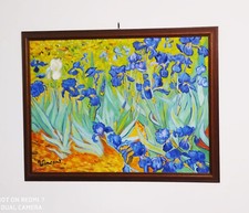 Campo di Iris, Van Gogh,1888 