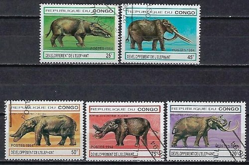 Animali evoluzione elefanti - evoluzione,