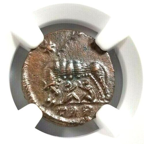 She wolf twins costantine ngc - she-wolf,