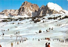 Cartolina Alpe di Siusi campi