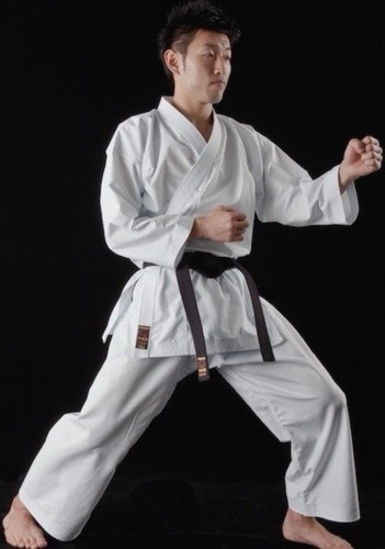 Karategi tokaido nst - karategi,