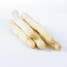 Piante di asparagi resistenti