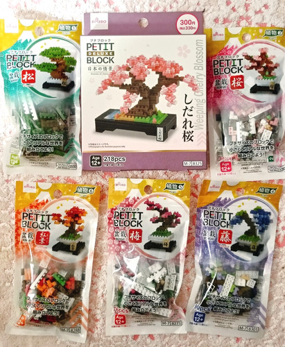 Bonsai giapponese petit block - giapponese,
