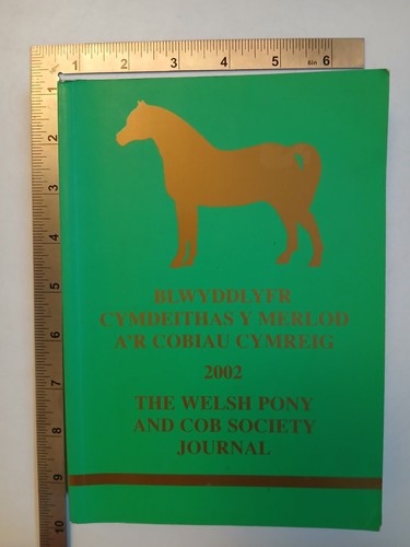The welsh pony - pony, and