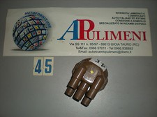 1501 CALOTTA SPINTEROGENO