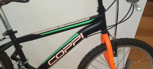 Bicicletta mountain bike - bicicletta, mountain-bike