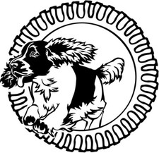 Adesivo SPRINGER SPANIEL -