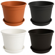 20er Set Vaso da Fiori Standard Con Sottobicchieri IN Div. Taglie E Colori