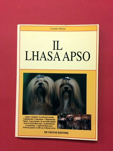 Lhasa apso camille - lhasa,