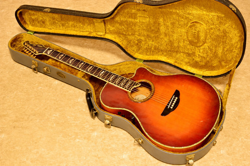 Chitarra elettrica acustica