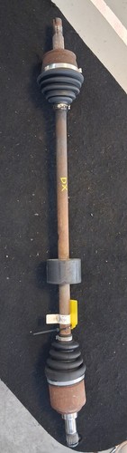 46307890 semialbero ant - semialbero,