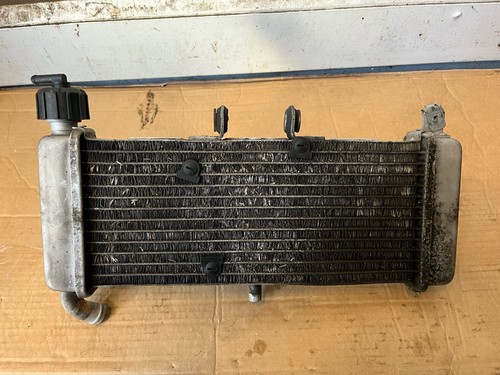 Radiatore aprilia rs4 - radiatore,