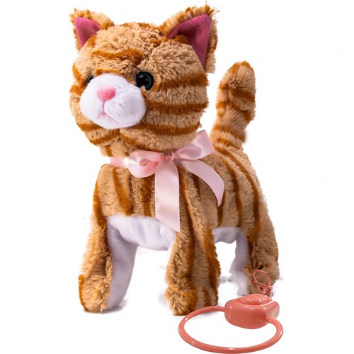 Gattino gatto filoguidato - gattino,