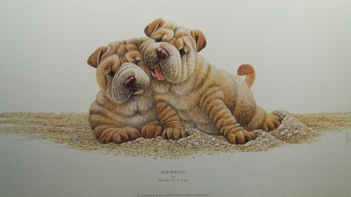 Rughe warwick higgs cani - warwick,