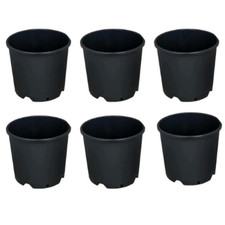 Vaso robusto plastica - in,