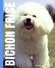 Bichon Frise