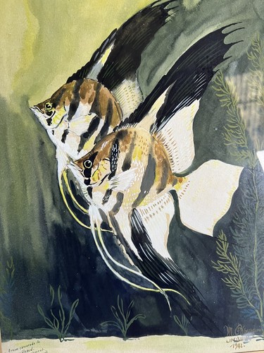Dipinto acquerello pesce - dipinto,