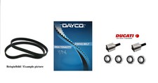 Ducati OEM Monster 1000 DS ie
