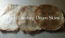 LOTTO 10 PEZZI PELLI TAMBURO