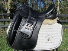 17" COUNTY PERFECTION dressage