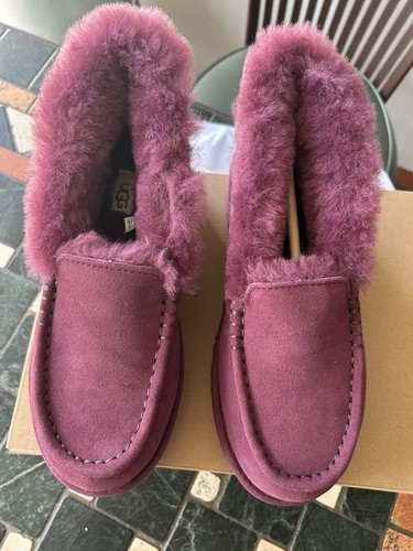 Ugg ansley parc - ugg,