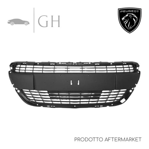 Griglia radiatore paraurti - griglia,