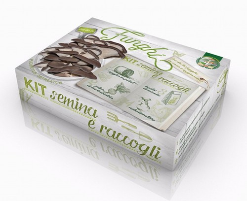 Kit semina raccogli - &,