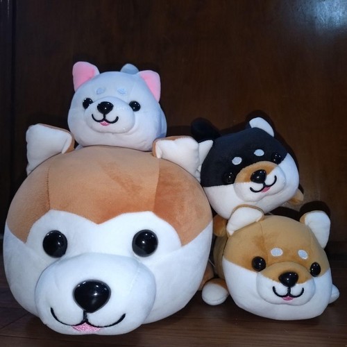 Peluche akita inu - akita,